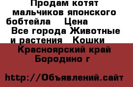 Продам котят мальчиков японского бобтейла. › Цена ­ 30 000 - Все города Животные и растения » Кошки   . Красноярский край,Бородино г.